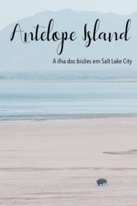Conheça a Antelope Island ilha em Salt Lake City, lugar belíssimo e cheio de vida selvagem!Clique para ler! #SaltLakeCity #AntelopeIsland
