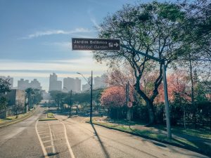 Rua que leva ao Jardim Botânico, veja como fica esse icônico ponto turístico na florada das cerejeiras!clique para ver! #curitiba #cerejeiras #jardimbotânico