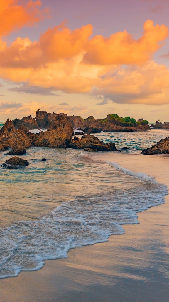 Conheça a praia de Tambaba no litoral sul de João Pessoa!Piscinas naturais, área naturalista e um pequeno coqueiro que cresceu sobre uma rocha fazem do lugar ainda mais incrível! Clique para ler. #euamojampa