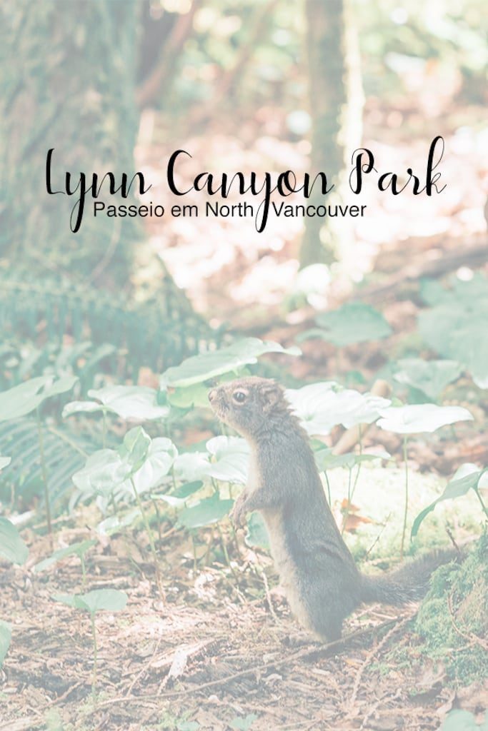Conheça o Lynn Canyon Park em North Vancouver! Um passeio com trilhas, ponte suspensa, um belo rio de águas esverdeadas e muita natureza! Clique para saber mais.
