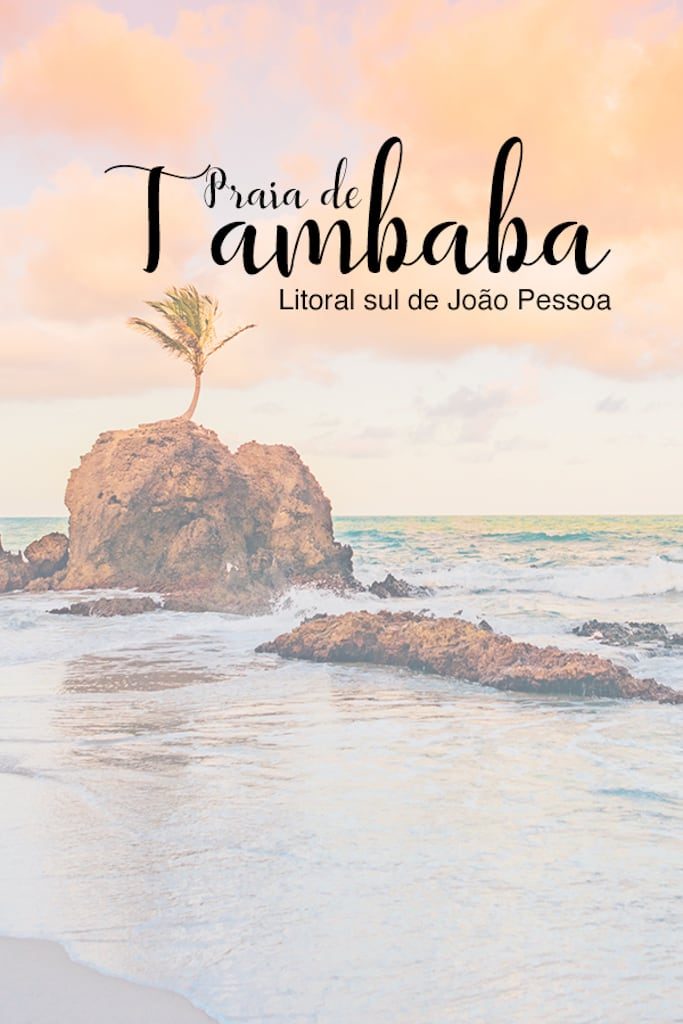 Conheça a praia de Tambaba no litoral sul de João Pessoa!Piscinas naturais, área naturalista e um pequeno coqueiro que cresceu sobre uma rocha fazem do lugar ainda mais incrível! Clique para ler! #jampa #dicasdepasseios