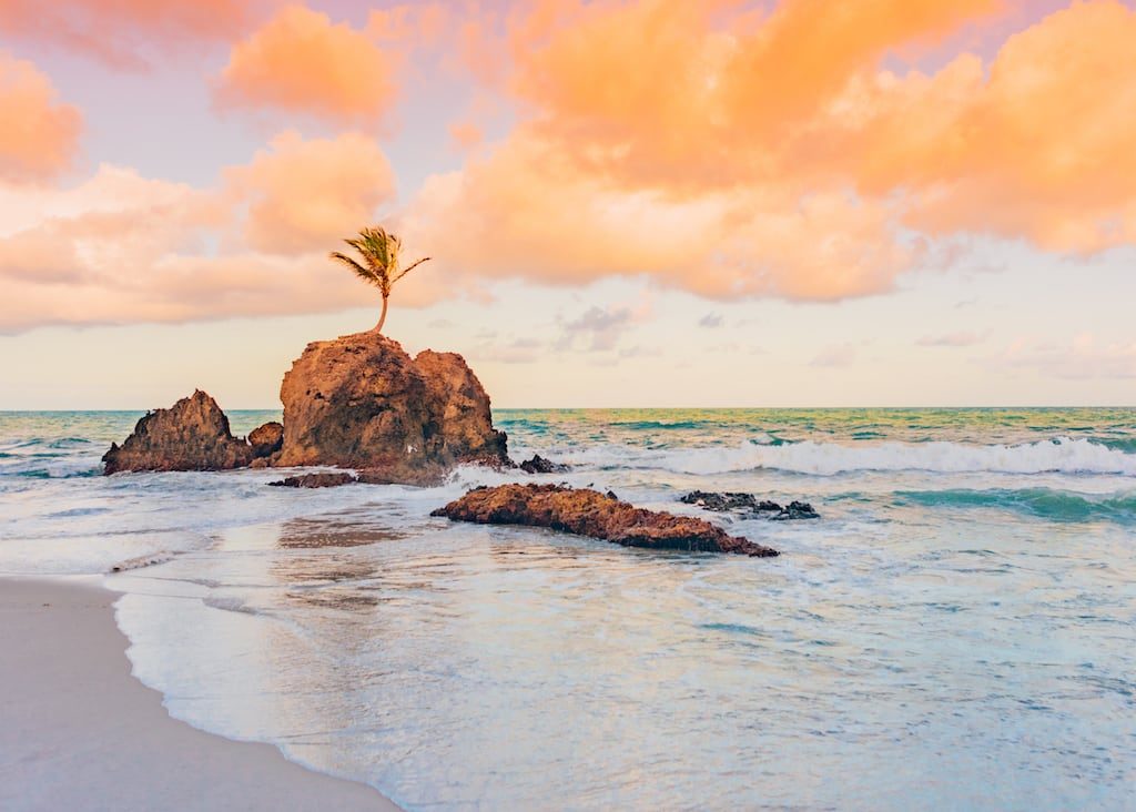 Conheça a praia de Tambaba no litoral sul de João Pessoa!Piscinas naturais, área naturalista e um pequeno coqueiro que cresceu sobre uma rocha fazem do lugar ainda mais incrível! Clique para ler. #euamojampa