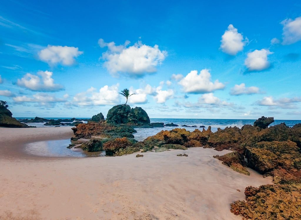 Conheça a praia de Tambaba no litoral sul de João Pessoa!Piscinas naturais, área naturalista e um pequeno coqueiro que cresceu sobre uma rocha fazem do lugar ainda mais incrível! Clique para ler. #euamojampa